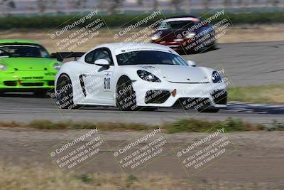 media/May-03-2024-PCA Central Coast (Fri) [[eaa7da0ee1]]/Red Group/Session 1 (Grapevine)/